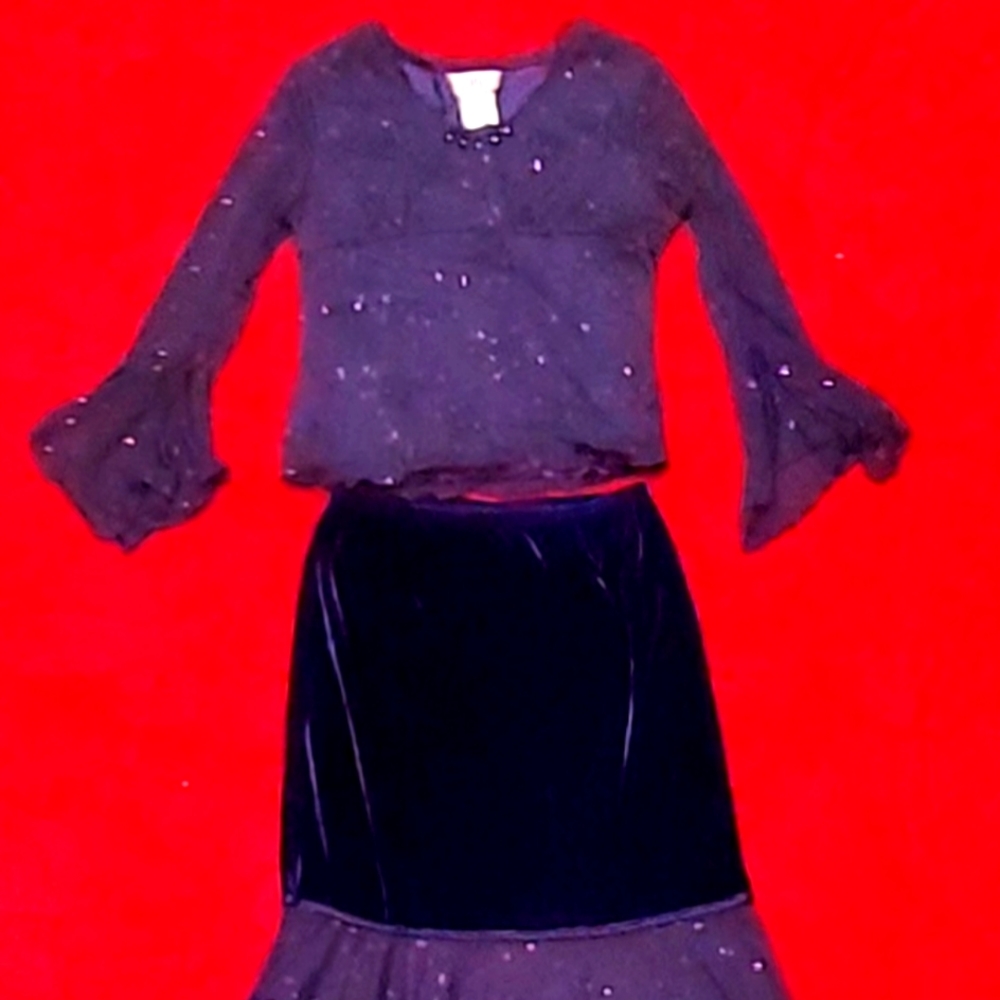 Zoey ladies skirt and top NWOT